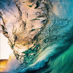 Meet your Posher, Kiley